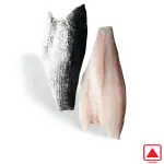 Australian Seabass (Barramundi) Fillet